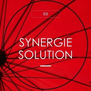 Annonceur Professionnel : Synergie Solution