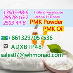 Wholesale PMK Powder CAS 28578-16-7/13605-48-6